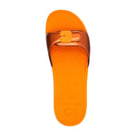scholl sun