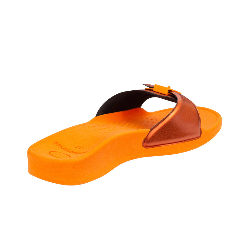 scholl sun